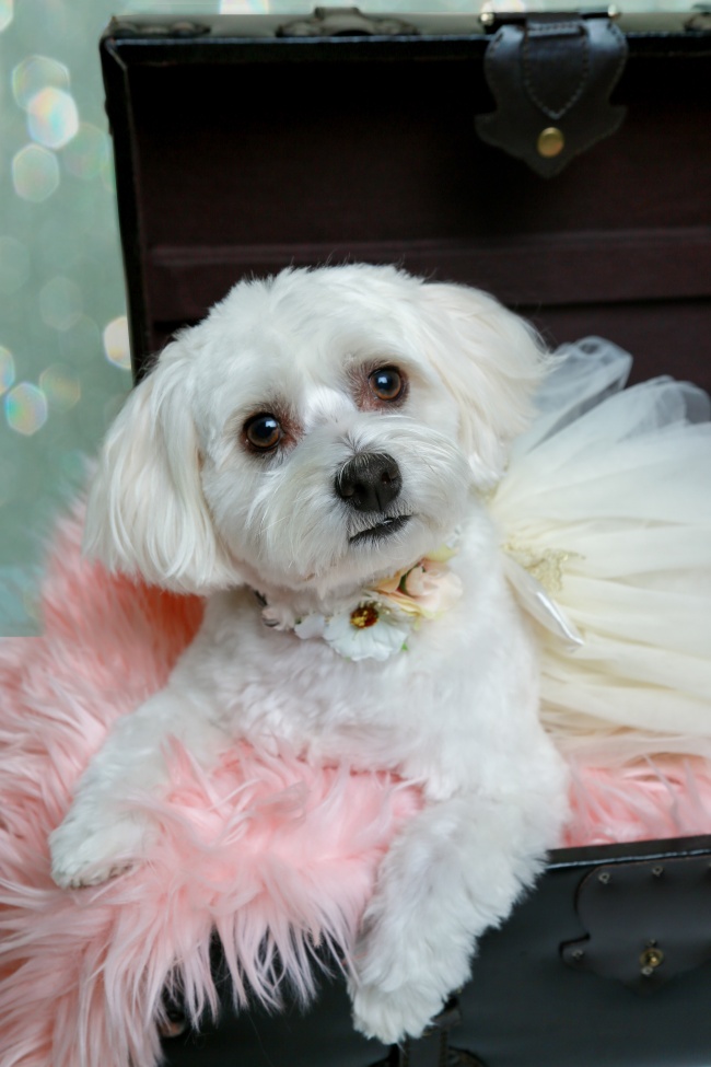 牛年正月廿九 2021年3月12日出生的人最好命吗