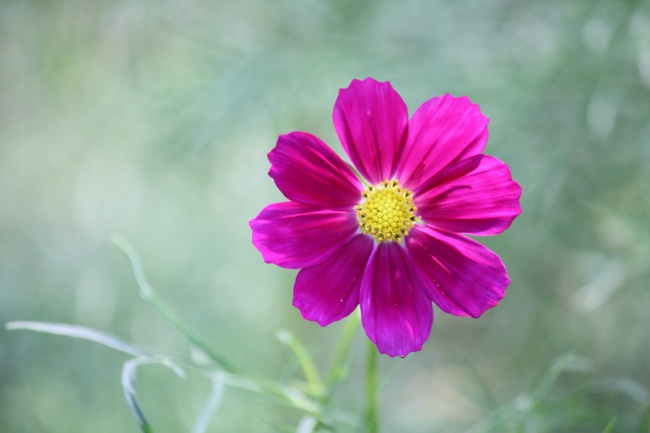 2021年立春出生的孩子好不好 怎么取名