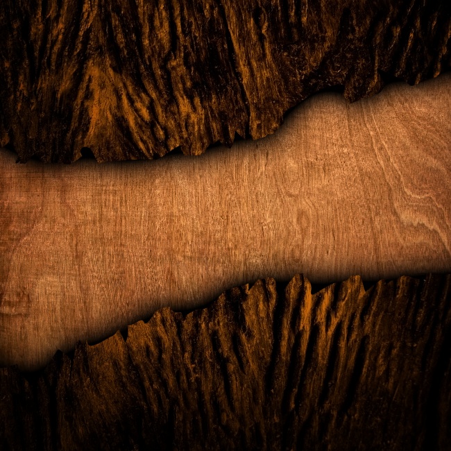 2020年12月26日出生的命运 农历十一月十二起名