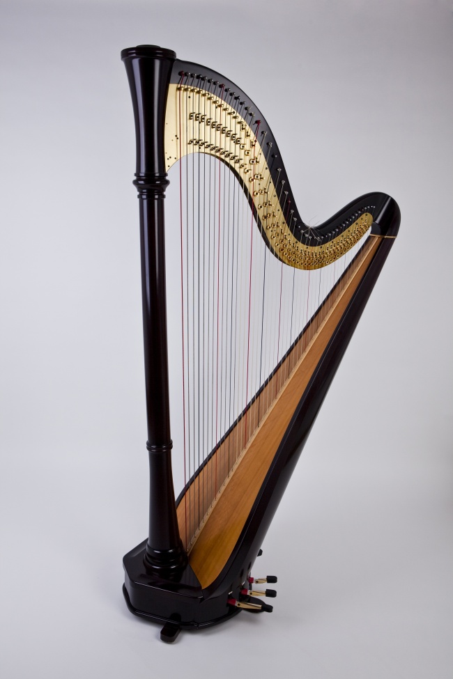 出生在九月廿四 2020年11月9日出生的鼠宝宝命好吗