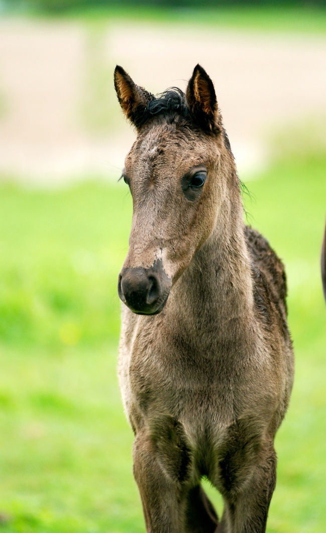觅字宝宝起名五行 觅字女孩取名含义