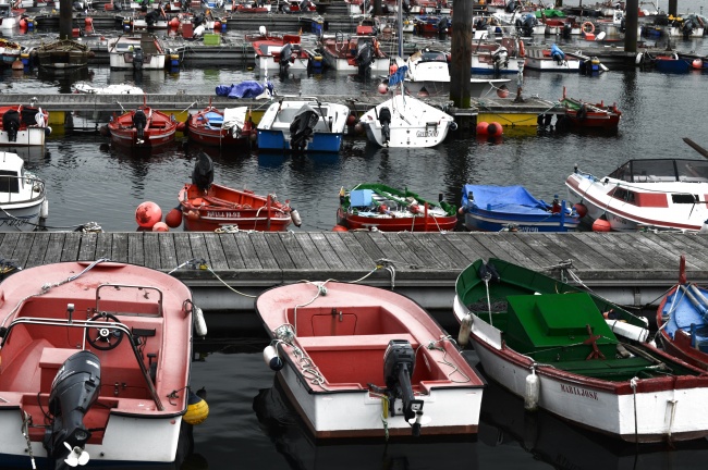 2021傅姓女宝宝取名 时尚大气的名字