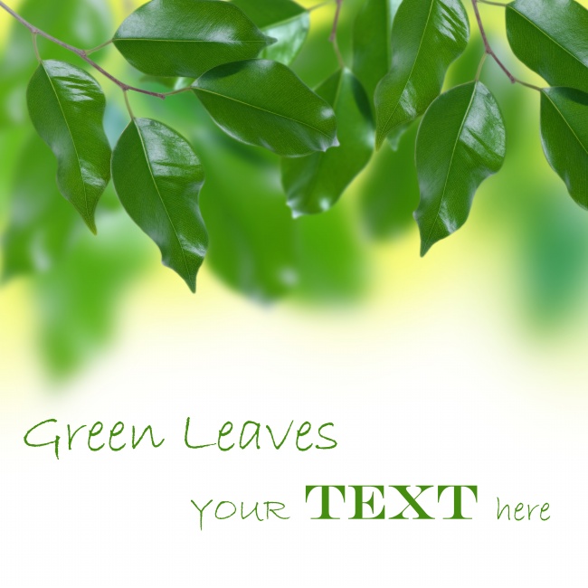 2021傅姓男宝宝名字 要怎么取名有个性