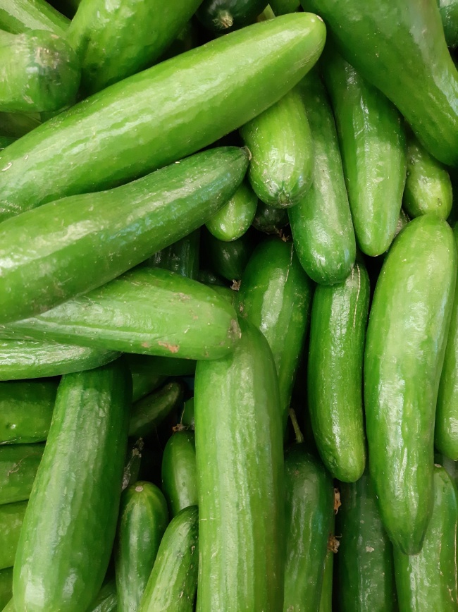 2021姓宋的男孩名字 三个字名字合集