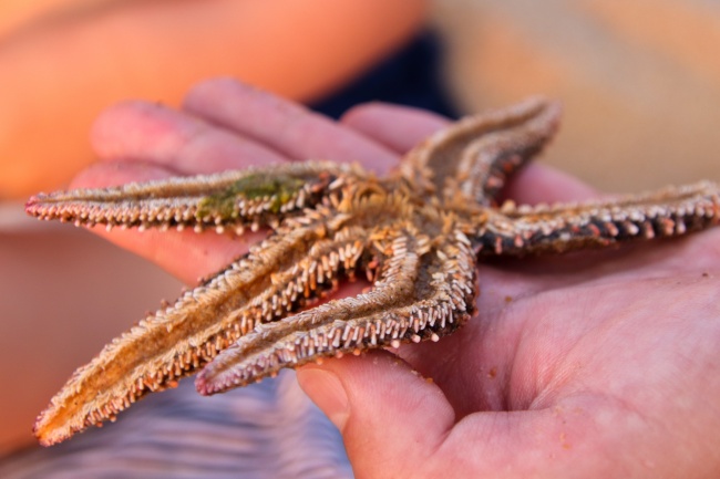 2022年最新小孩名字 宝宝取名大全