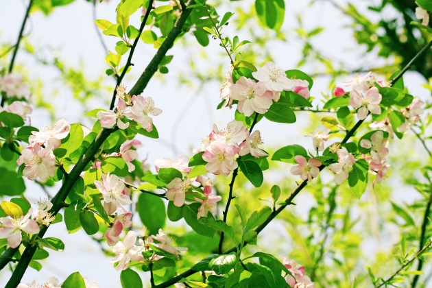 属虎宝宝取名字大全 吉祥喜气