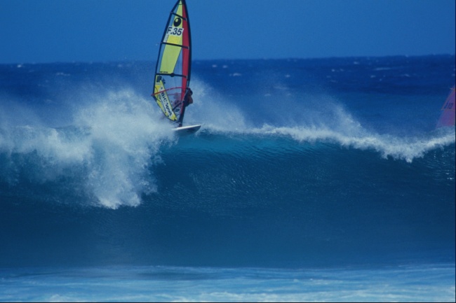 属虎的取什么名字最好 独一无二