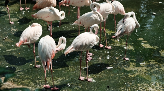 虎年宝宝小名洋气 小名推荐