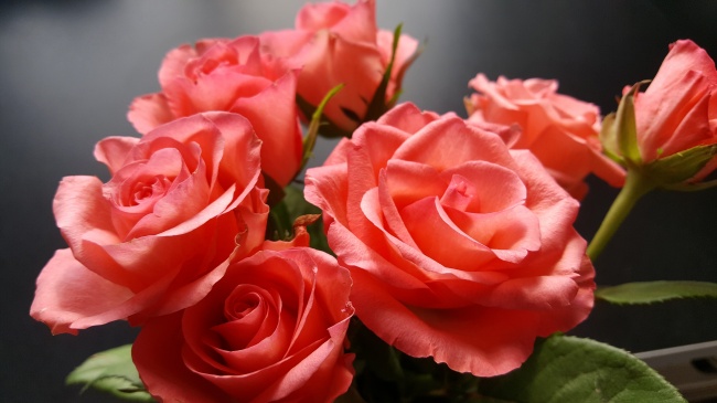 2022年属虎的宝宝几月出生好 根据月份取名