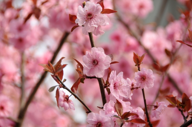 2022年宝宝取名字大全免费 意义深远