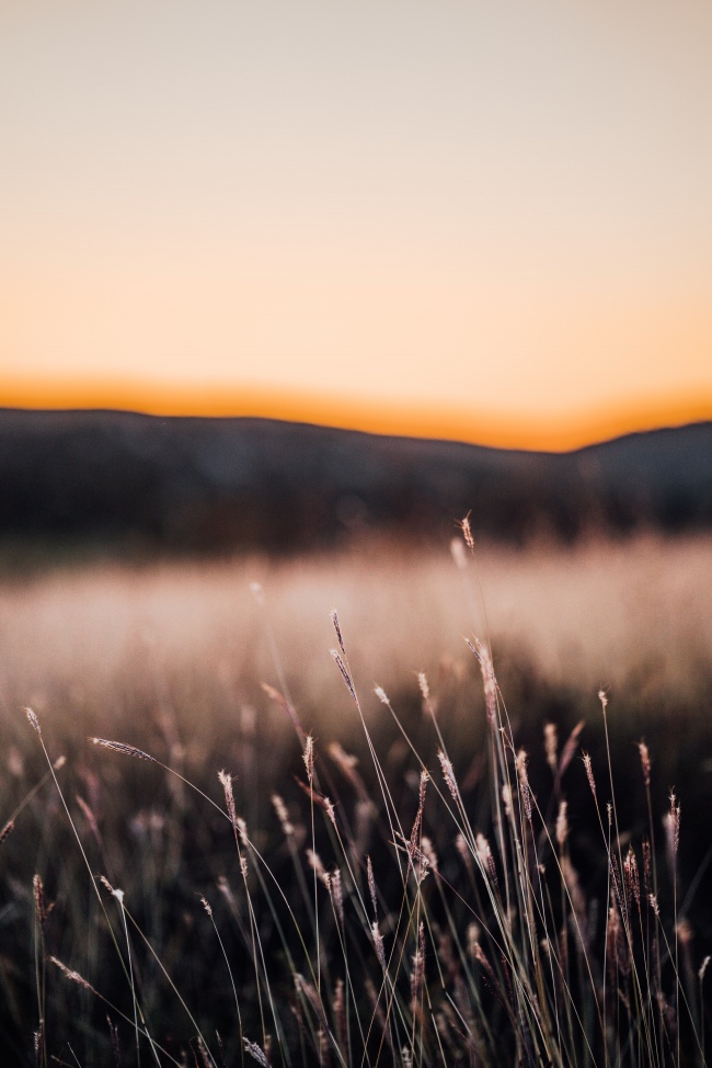 2021年小雪节气出生的宝宝名字 牛年宝宝乳名男女通用