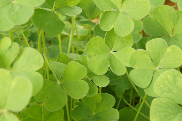 2022年宝宝免费八字起名 精选合集