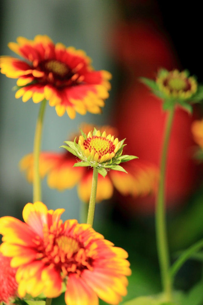 起名字2022免费八字起名周易取名