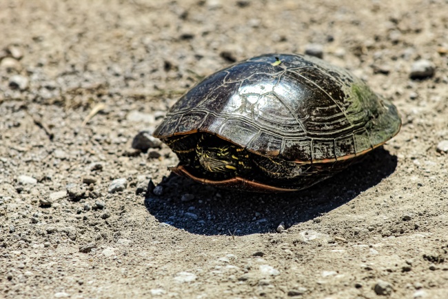 小孩取名字大全免费查询2022