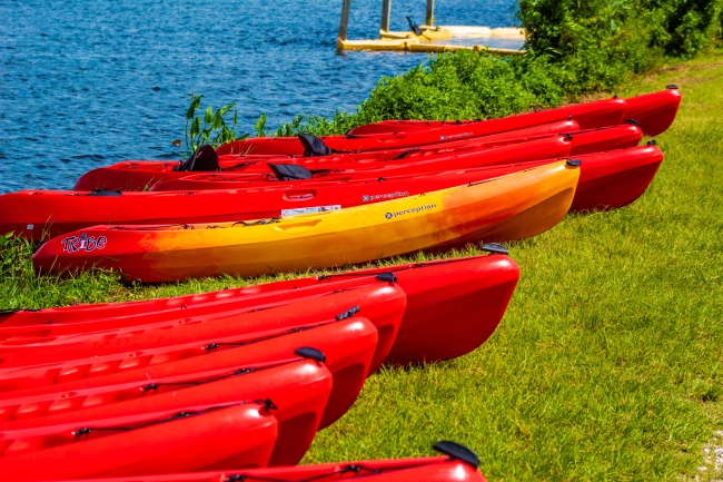 2022年属虎宝宝起名 最佳名字