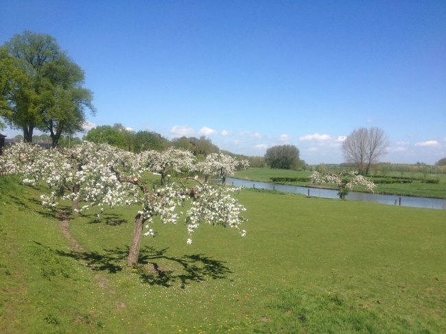 虎年出生的宝宝取什么名字好 取名技巧