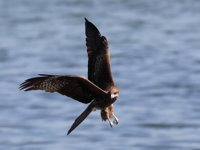 宝宝冬至出生取什么名字好 可爱的名字