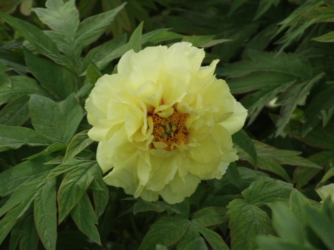 2022年忌讳几月出生 名字大全