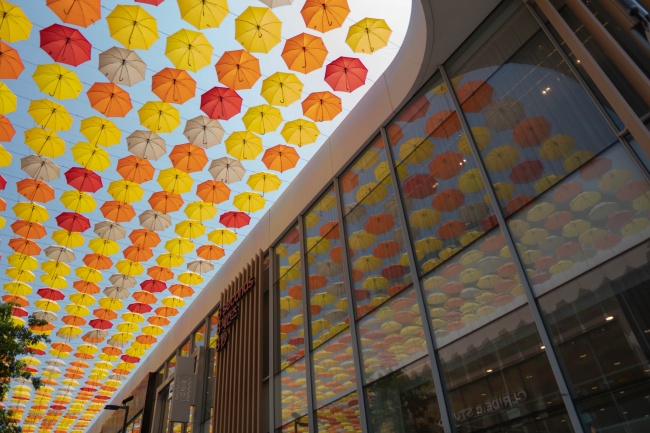 2022年虎年取名大全 好运的名字