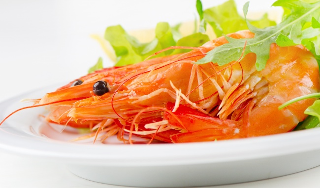 小孩取名字大全2022免费