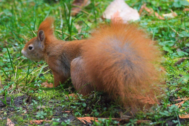 2021牛年11月出生的宝宝好吗 周易在线取名打分