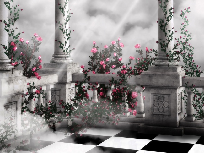 虎宝宝名字大全   免费取名