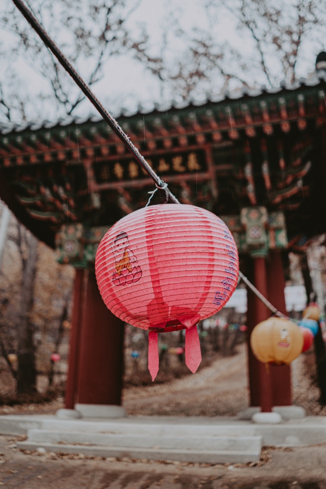 姓钟的女孩有涵养的名字 简单好听名字大全