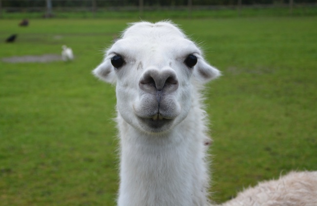 钟姓宝宝取名免费 寓意深刻的好名字