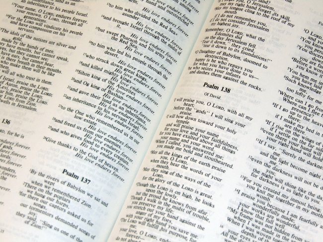 2021姓任的女孩名字 仙气满满的名字