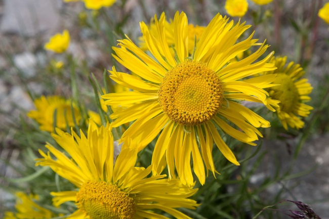 田姓名字大全男孩 简单大气的名字怎么取