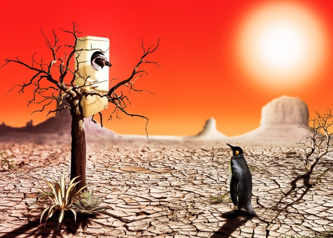 属虎的小名洋气点的 男女宝宝取名合集