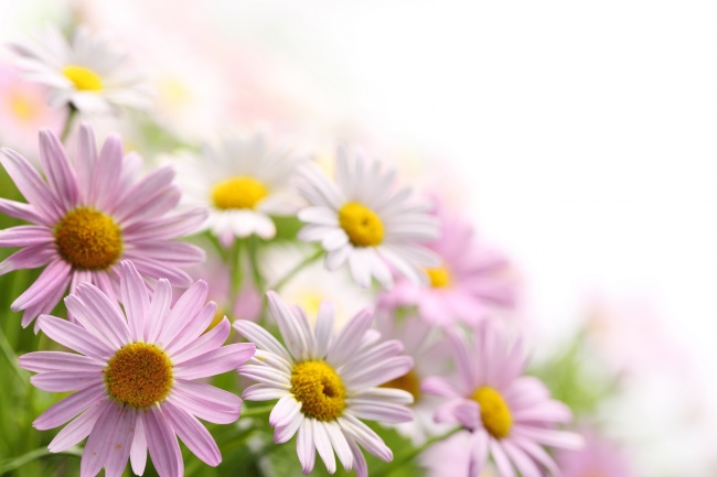 出生在虎年农历一月的宝宝喜用偏旁 常用字