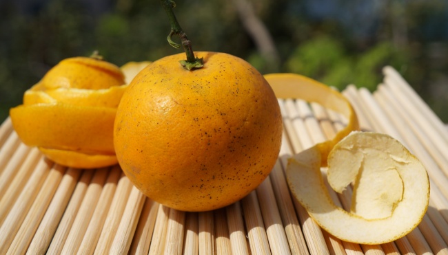 江姓男孩取名独特一点 三个字名字合集