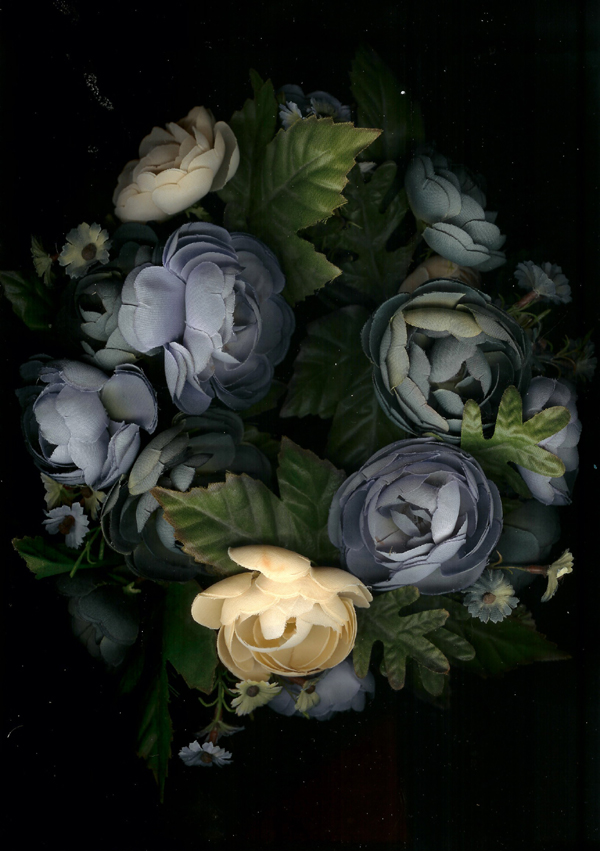 虎年出生九月份名字大全 寓意独特