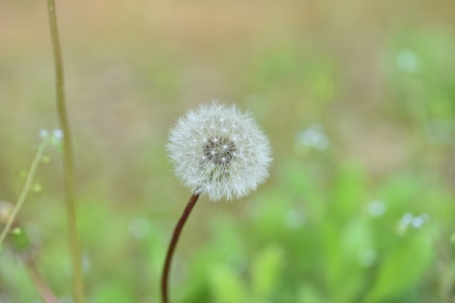 虎年出生的宝宝七月份取名技巧