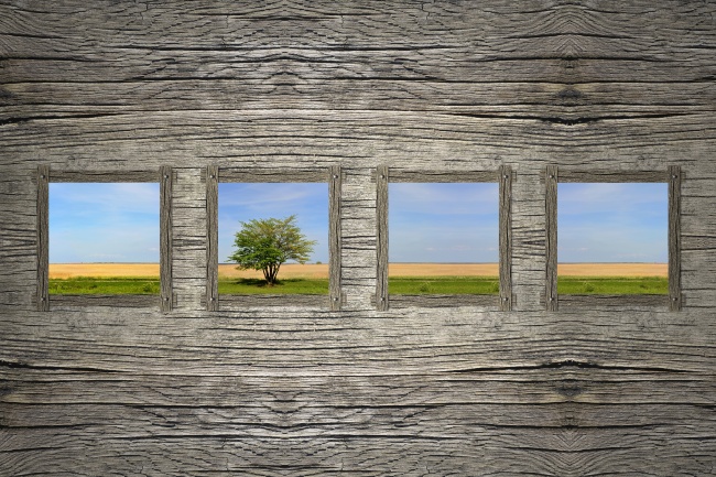 属虎宝宝农历五月出生起名宜忌 名字大全