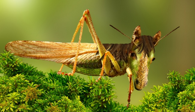 姓秦男孩名字大全 霸气三个字取名