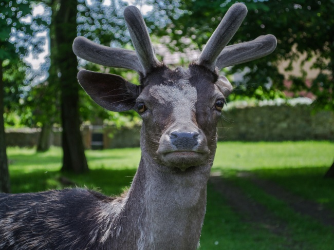 漕姓男宝宝免费起名 什么名字寓意深刻