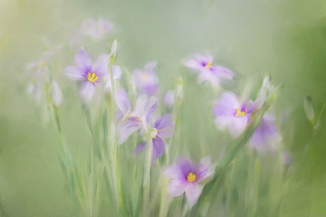 在农历六月出生虎宝宝五行缺什么