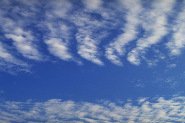 属虎的三月份出生八字起名 这样取名周全美满