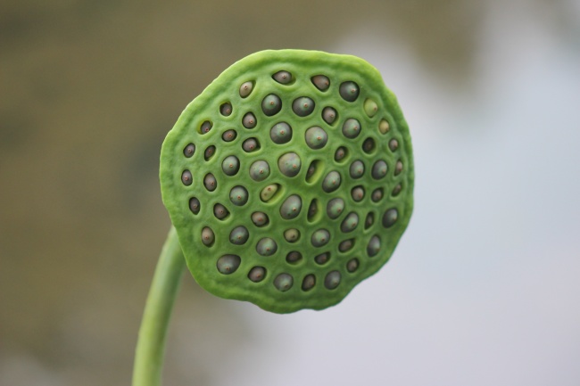 姓邱女孩取名洋气的 三个字名字合集