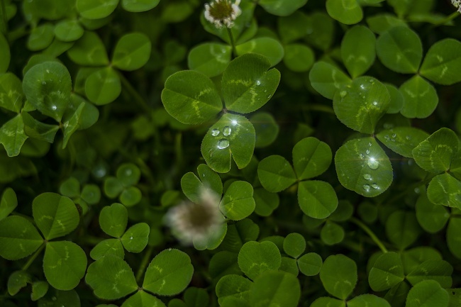 姓江的女孩叫什么名好听 动人的名字