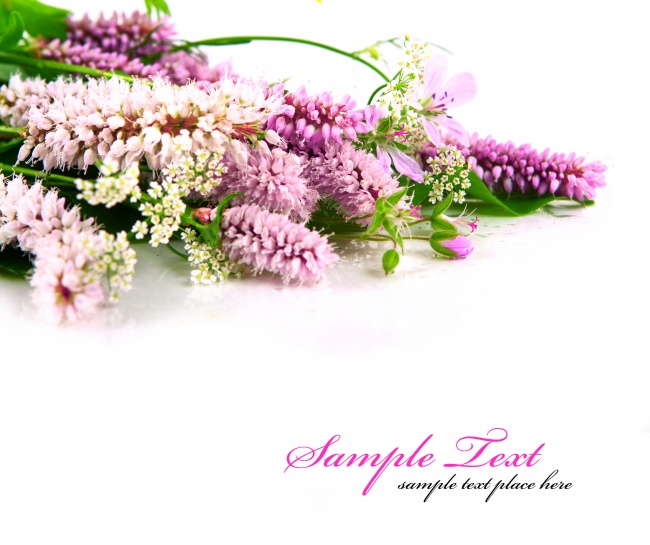 虎宝宝一月出生起名喜忌用字