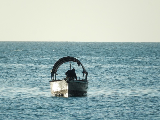 2021秦姓女孩名字大全 新版好名