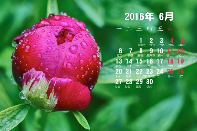 虎年农历二月出生取名宜忌 取名方法