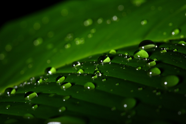 属虎的宝宝四月出生的五行取名