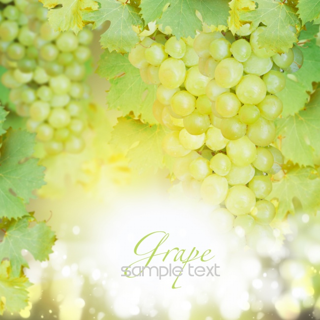 三月份出生虎宝宝起名技巧 名字推荐