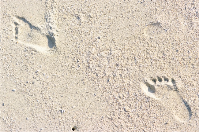 属鼠金牛座2021爱情运 桃花运 财富运分析