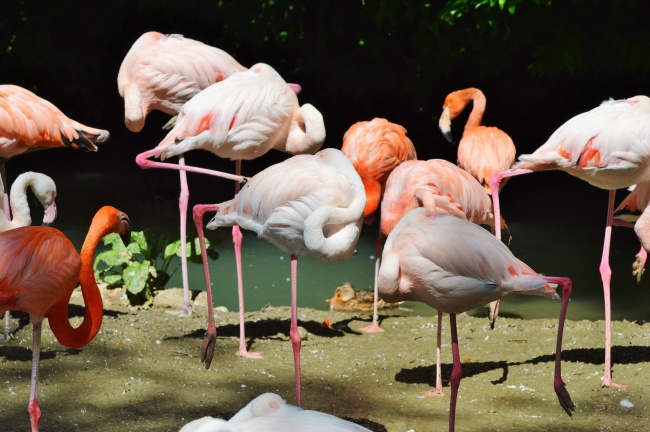 2022出生的虎宝宝的取名字大全