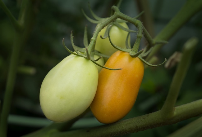 2022年出生的宝宝起名带什么字好 寓意极好